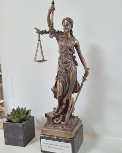 morin_hernandez_abogados_santa_cruz_de_tenerife
